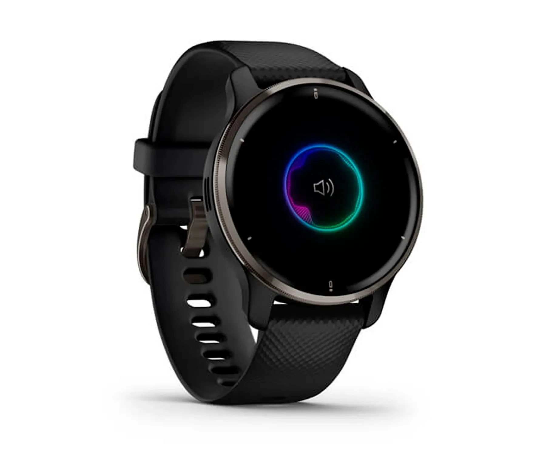 GARMIN Venu 2 Plus Smartwatch SLATE 