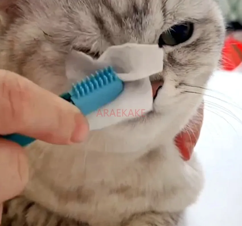 Multi functional cleaning brush for pets, eye droppings clip for dogs, cats, brushing teeth, cleaning teeth, and removing black