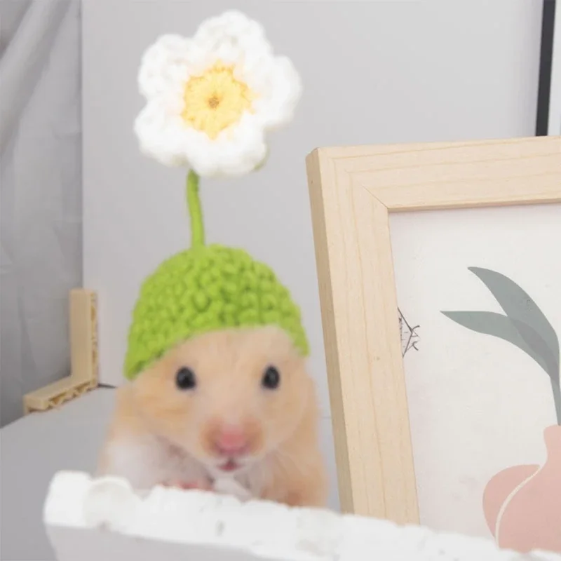 Hamster Costume Fruit Rabbit Hat with Ears for Festival Decoration Handwoven Cap