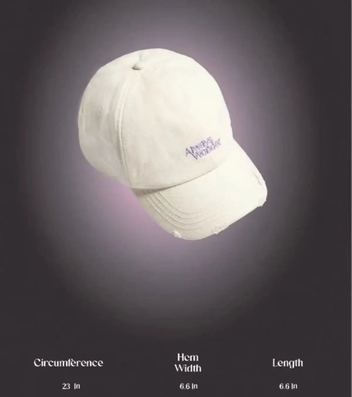 2025 The Secret of Us LingOrm Linglingkwong AlwaysWonderI Birthday