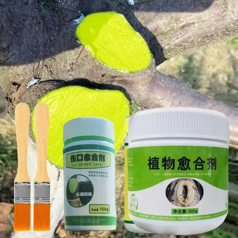 Tree Grafting Paste Tree Wound Bonsai Cut Paste Smear Agent Plant Grafting Pruning Sealer With Brush Bonsai Cut Wound tree wound sealer