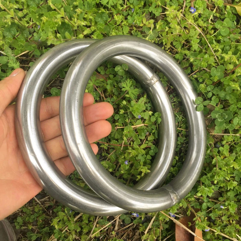 2Pcs DIA Metal Gymnastic Rings Iron Carabiner Thick Portable Fitness Gym Shoulder Strenght Exercise Pull Up Training