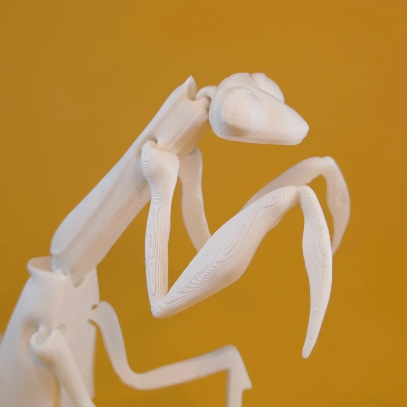 Fun and cute mantis 3D printed with flexible joints