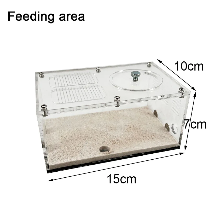 Concrete Ant Farm Intelligent Temperature Control Ants Nest Spliceable Expanded Anthill Ant House Acrylic Ant Kennel Insect Box