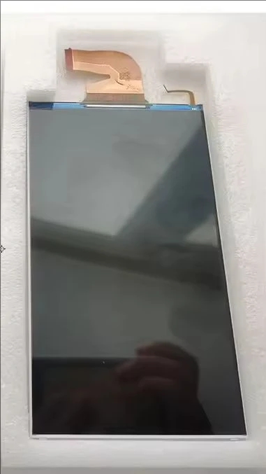 Original new LCD Screen For NS Switch NS Lite Lcd Display For Nintend Switch lite and switch Repair Parts