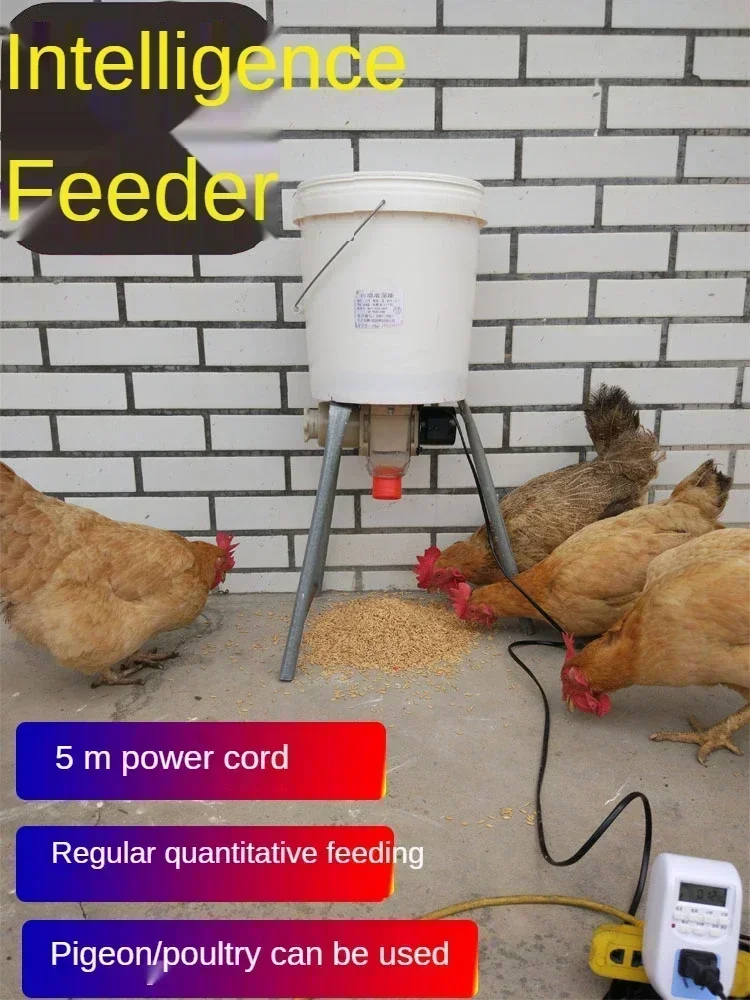 AutomaticChickenFeederPigeonChickenDuckCarrierPigeonTrough
