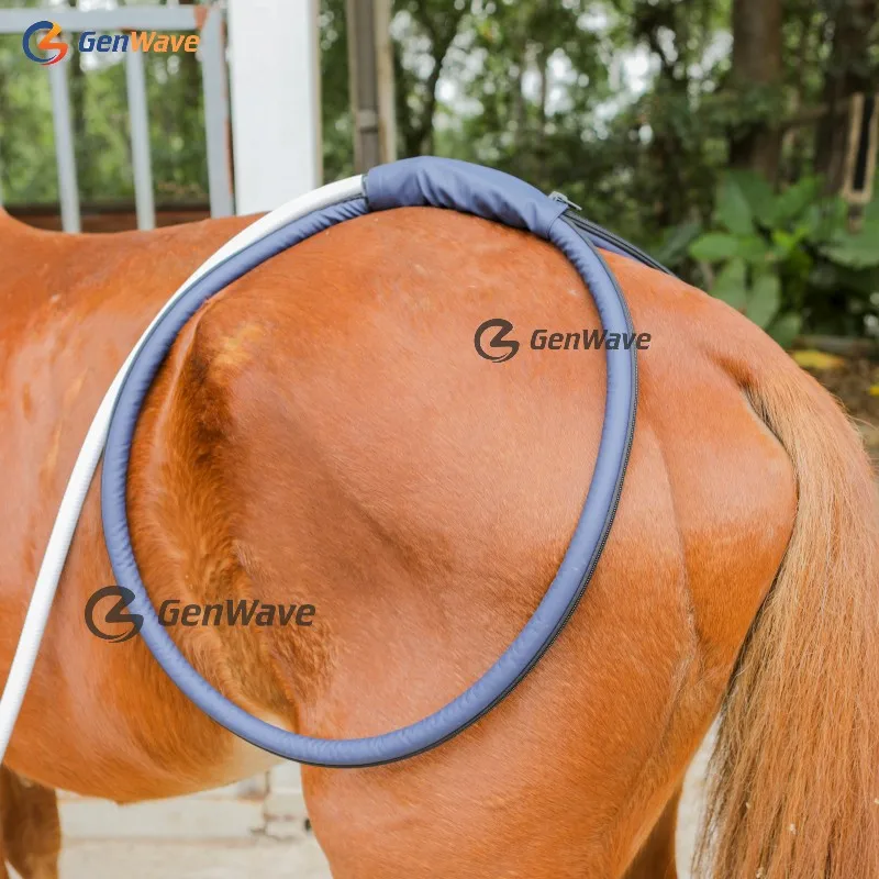 Pmst Loop Pemf Magnetic Big Loop X Wings Macchina Per Il Rilassamento Equino