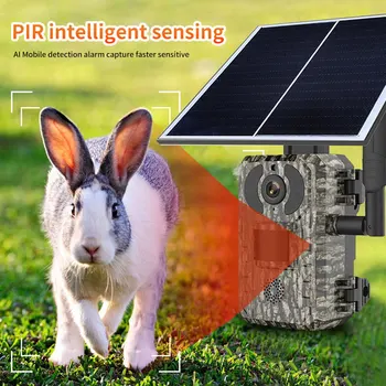 4MP 1440p Solar Power Hunting Trail Camera 4G SIM Card IP66 Waterproof  PIR Motion Detection Wildlife Camera IR Night Vision 1