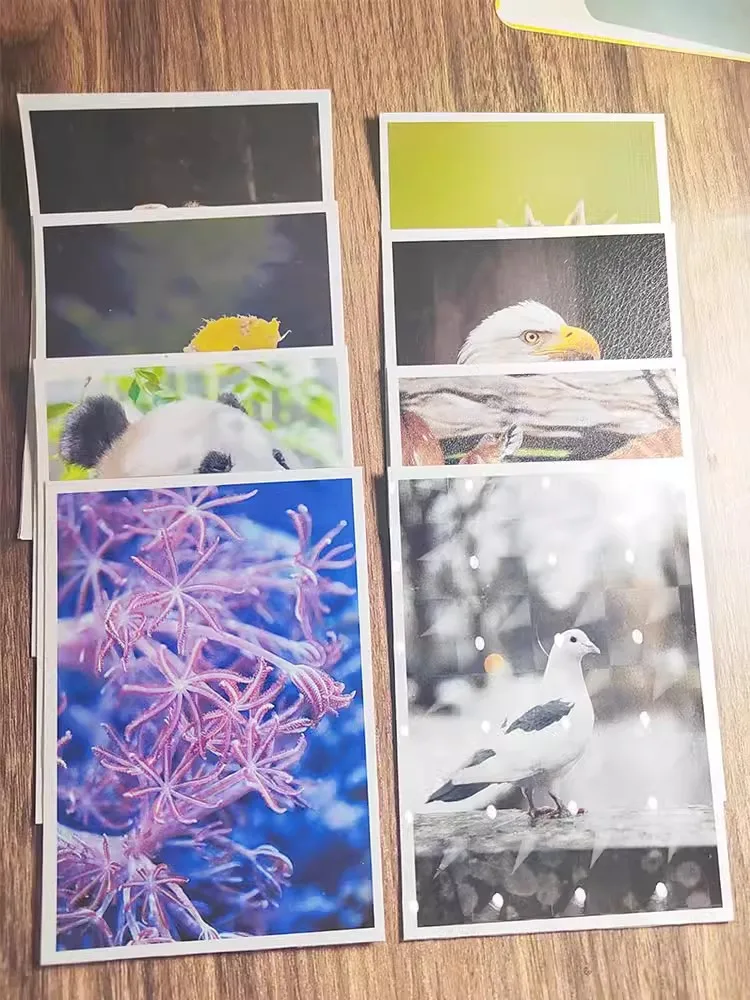 사진 보호 및 표본 제작용 플라스틱 핫 스탬핑 접착 콜드 라미네이션 필름, 50 매