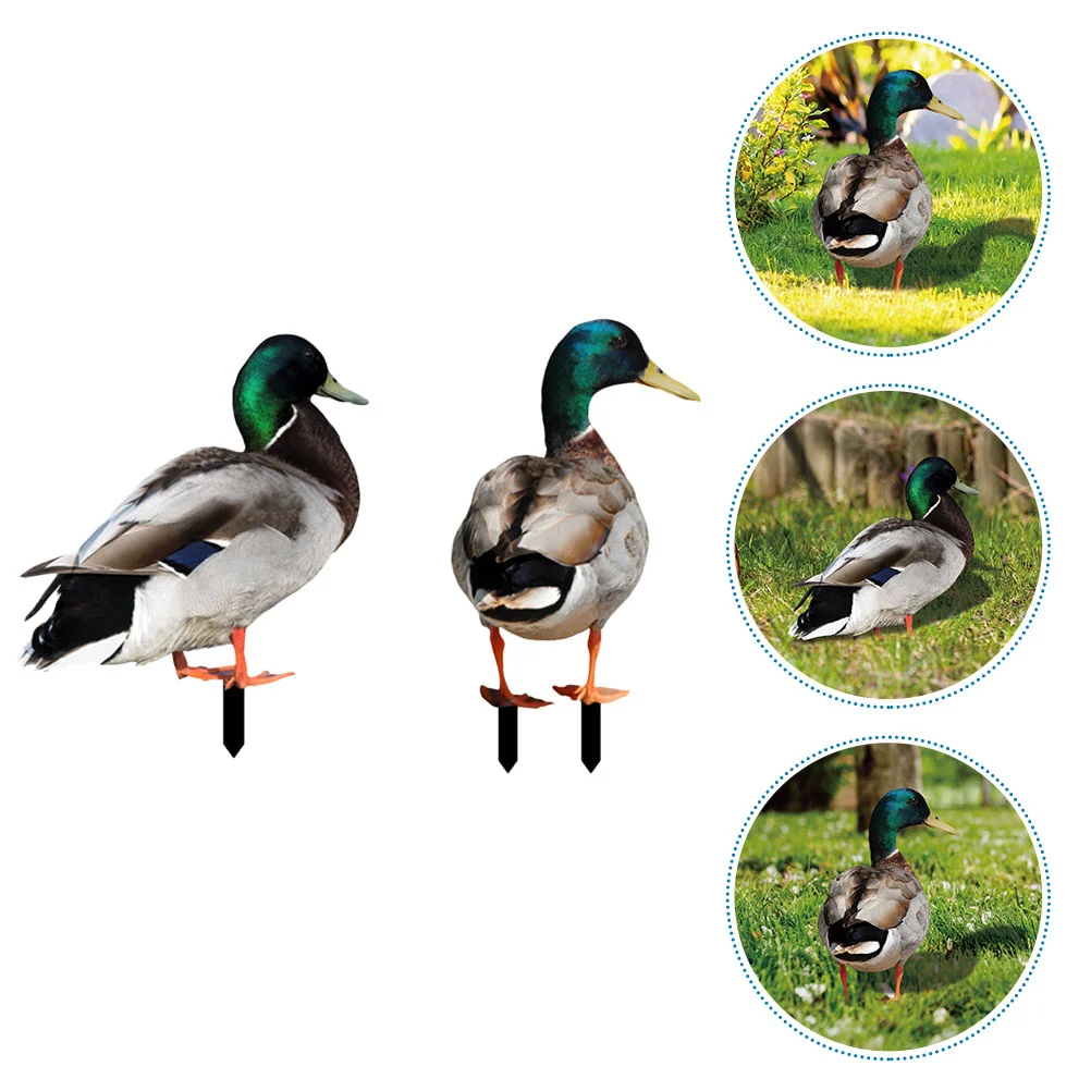 

2 Pcs Duck Garden Decoration Emblems Insert Acrylic Stake Decorate Lawn Sign Yard Ornament Yards Decorative