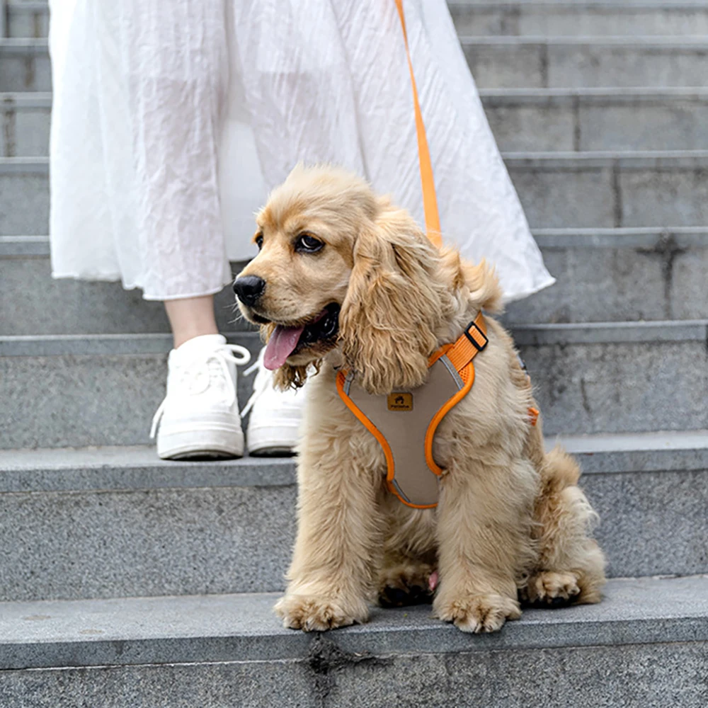 Reflective Dog Harness And Leash Set With Soft Padding For Dogs_voghion.com