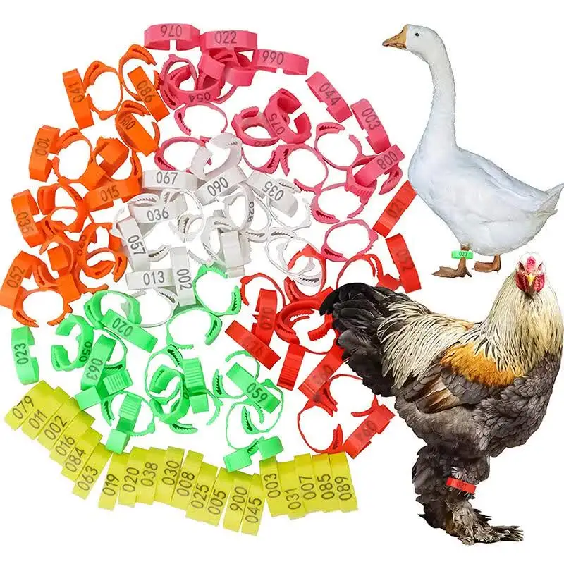 Bagues Pour Pattes De Volaille - Lot De 50, Diamètre Intérieur 25 Mm, Pour Poules, Canards, Oies (couleur Blanche)