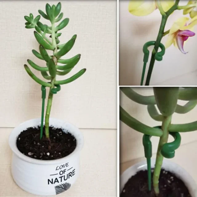 10pcs Gardening tools Plant potted flower fixed anti fall frame Shape support rod Reusable plant scaffold Bonsai fixing tool 5