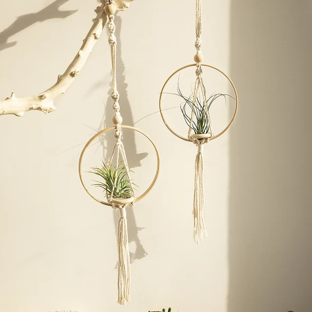 Woven Air Plant Holder for Chic Home Decor 8