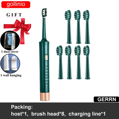 Electric Toothbrush Usb fast charging GL62A Adult  electr teeth brush Rechargeable prodent  Replacement Head case