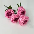 Deep Pink
