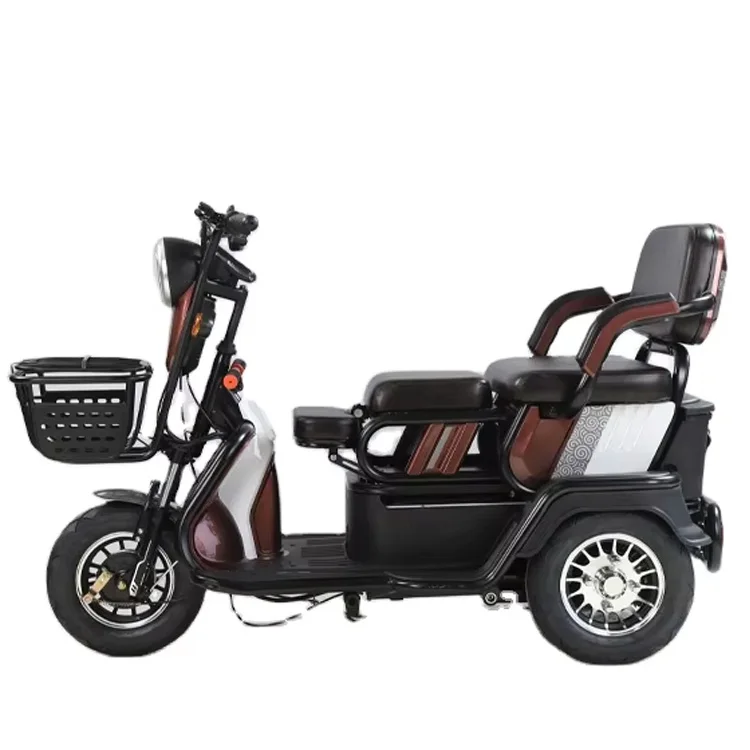 New Trend 1000w electric tricycle 3 wheel electric tricycle for children and adults With big promotion