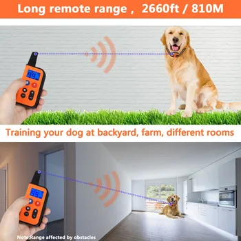 Electric Dog Training Collar Waterproof Dog Bark Collar With Remote Control Anti Barking Device for All Size Dogs Pet Supplies 4