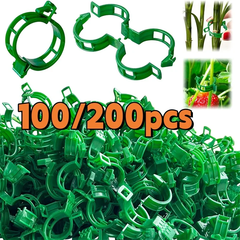 100/200 Stück Pflanzenstützclips, Kunststoff-Gartenranken-Befestigungsclips für Kletterpflanzen, Tomaten, Weinreben, Pflanzenstielhalter