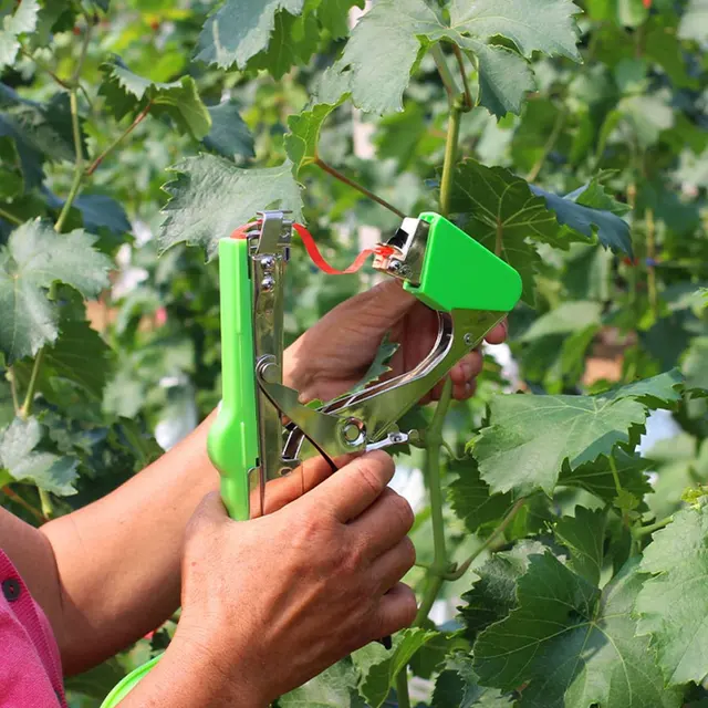 Hironobu Maquina para Atar,Atadora de Viña,con 20 Rollos de Cinta y 1  Paquete de Grapa Herramienta de Cinta de Jardín para Atar Ramas de Plantas  ardín para UVA, Viña, Frutas y Flores (