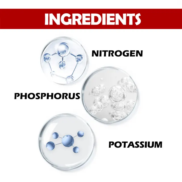 Kertészeti Növekedés Organic Tabletta Elősegíti A Növények Gyökérnövekedését Organikus Dinnye És Gyümölcsnövények Dag-Hajó Számára - Image 5