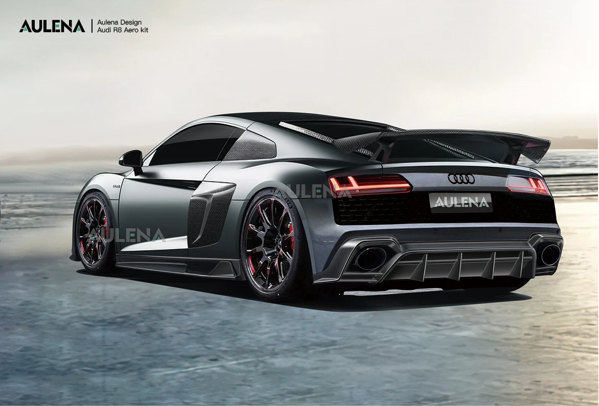 Рисунок 2 - Aulena дизайн для Audi R8 сухой
