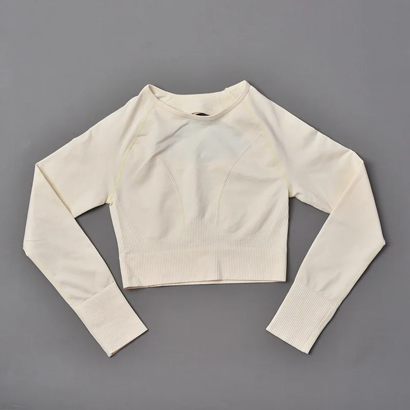 Yoga Top Yoga Shirt Seamless Yoga Shirts Crop Top Long Sleeves Women Yoga Sports Fitness Gym Workout