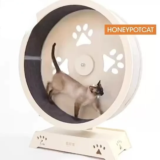 Új Kedvtelésből Tartott Macska Trendklassok Háziállatok Edzésére, Professzionális Tervezés, Biztonságos, Környezetbarát Kedvtelésből Tartott Macska Futópad - Image 2