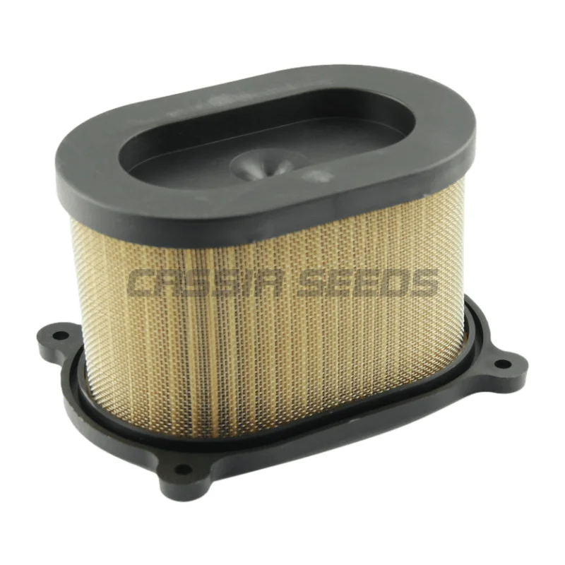 Motorcycle air intake filter suitable for Suzuki SV650 1999 2000 2001 2002 air filter motorcycle air filter air filter cleaner