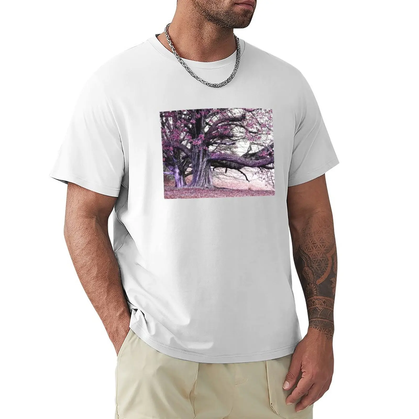 

Shipley Tree in Winter T-Shirt shirts graphic tees for a boy men workout shirt