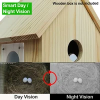 Caméra WiFi HD Tuya Smart Life pour nichoir à oiseaux, vision nocturne, application mobile, vision en direct, alimentation par prise, installation facile, DIY, cadeau 5