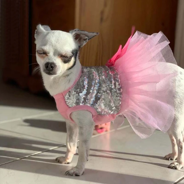 Robe Princesse pour Chien, Chemise Brillante, Jupe Tutu, Vêtements