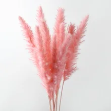 Home Artificial Decorations 10Pcs Fake Flower Natural Dried Pampas Grass Phragmites Artificial Flowers Wedding Flower Bunch