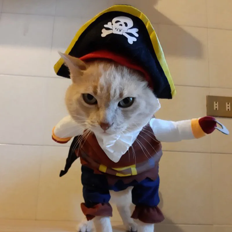 Déguisement Halloween Pirate Élégant pour Petit Chien