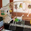 4PC Bird Toys Parrot Accessories Chewing Toys צעצועים Cage Hanging Christmas Articles Pour Animaux De Compagnie Vogel Speelgoed 2