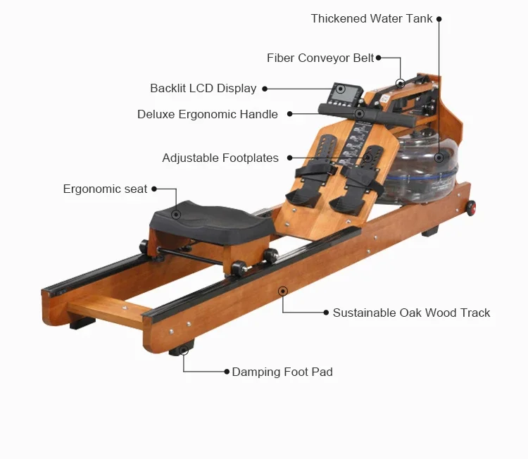 Anatomically Correct Rowing Machine S7b4a80ba7ae04c06be1069fc634ce058P.jpg