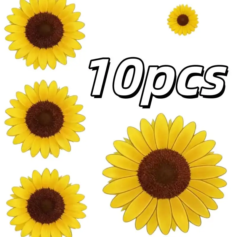 10pcs
