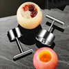 Fruit Core Digger Apple Pear Core Coring Cutter Stainless Steel Fruit Core Pitter Remover Separator for Kitchen Accessories 2