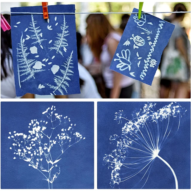 Meetory Lot De 36 Feuilles De Papier Cyanotypie A4 A5, Papier