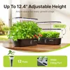 Hydroponics Growing System Kit with 12 Pods