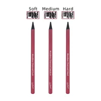 Professional Woodless Graphite Sketching Pencils Set 3 Pack (Soft Medium Hard) Charcoal Drawing Pencils for Art Students Artists 4
