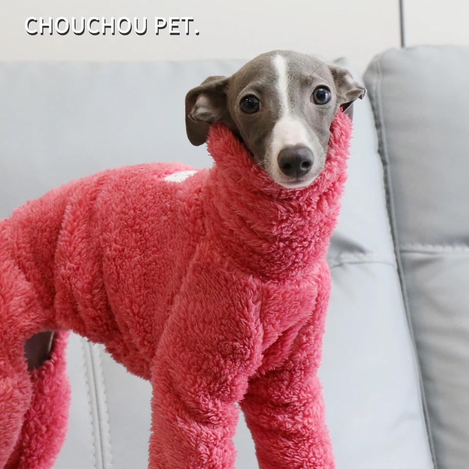 Qualcuno ha un levriero che semplicemente non lo ascolta? : r/Greyhounds, image size:960x960