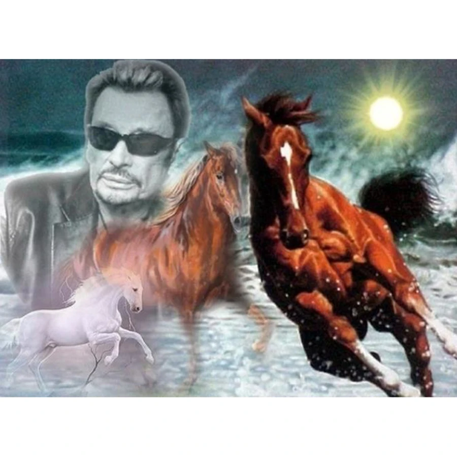 JKL-9 5D Peinture au diamant à la main MOSAÏQUE KIT JOHNNY HALLYDAY Peinture au diamant de la