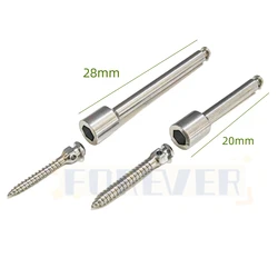 Dental Orthodontic Mini Implant Micro Screws Driver Screwdriver Handpiece Key