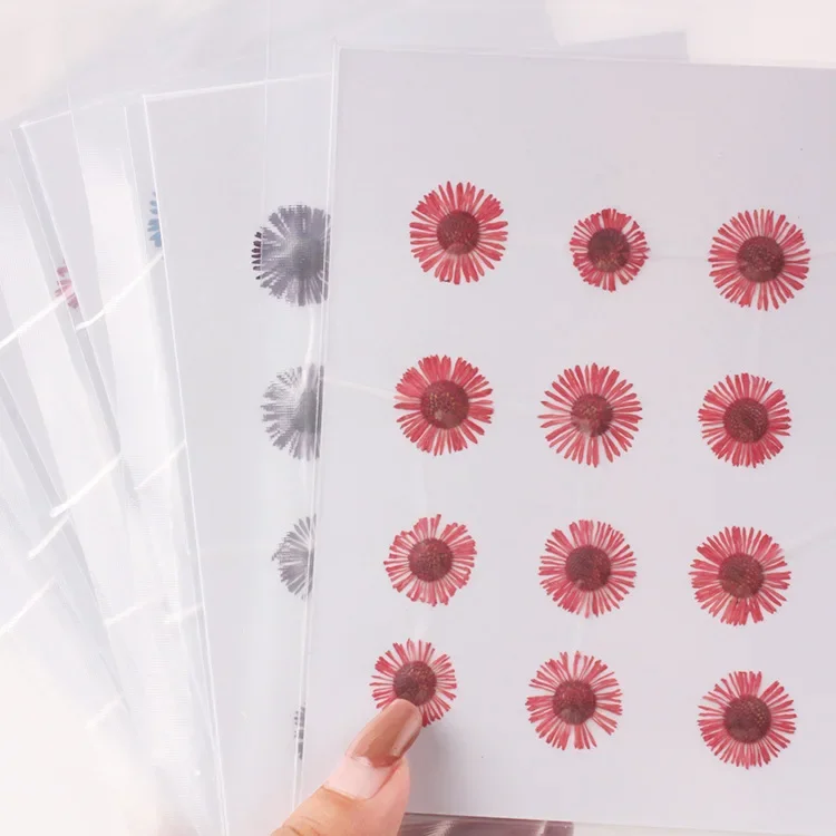 120 Stück gepresste getrocknete Conyza canadensis Füllblume für Epoxidharz, Schmuckherstellung, Postkartenrahmen, Handyhülle, Basteln, DIY – Detail 8