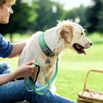 Reflective Padded Nylon Dog Collar 6