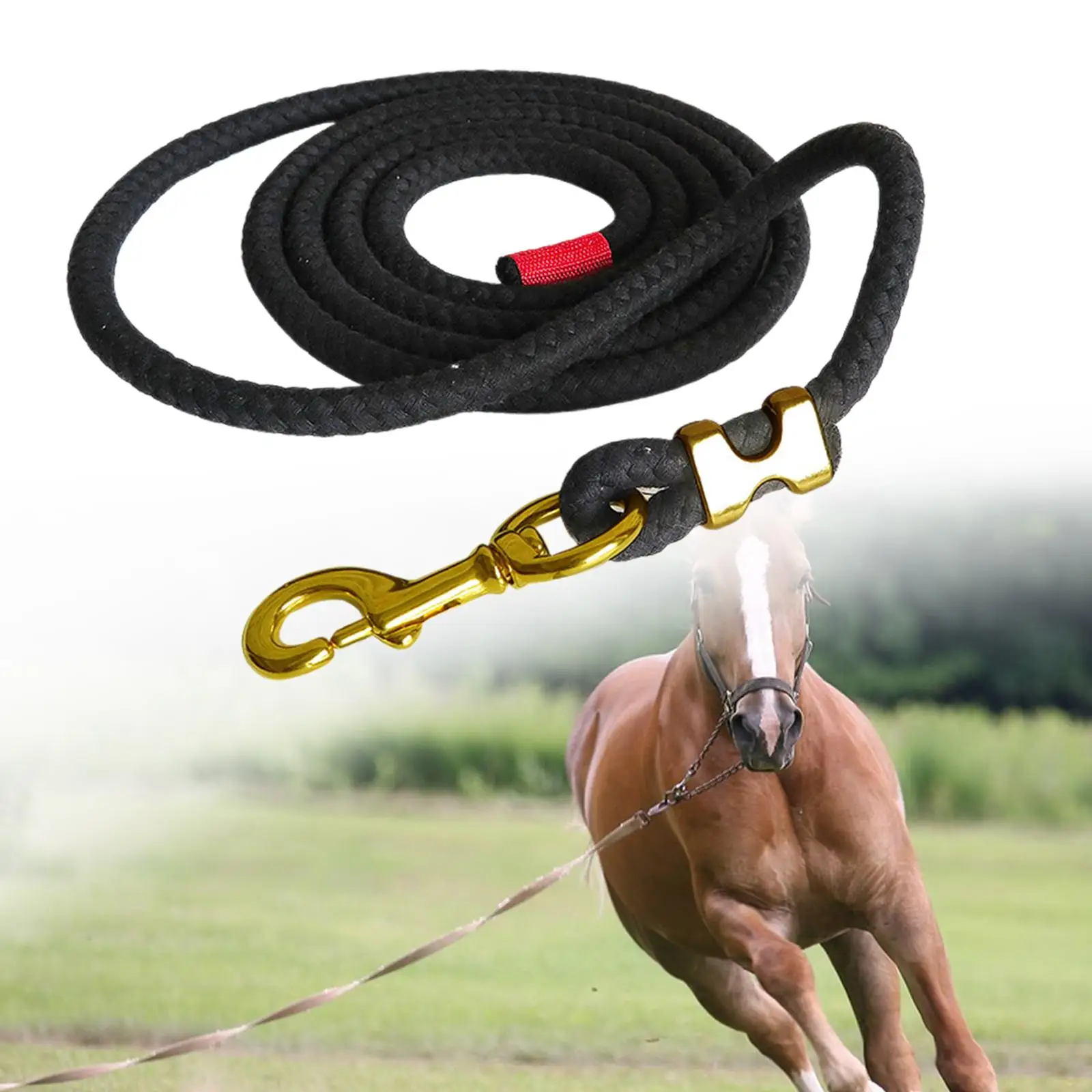 Horse Lead Rope Attaches to Halter or Harness Strong Durable for Leading Training Horse, Pet, or Sheep Lunge Line with Snap Hook