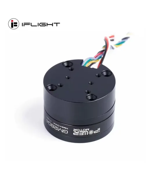 IFlight IPower GBM2804H-100T / GM2804 브러시리스 짐벌 모터(AS5048A 인코더/카메라 안정화 시스템용 알루미늄 케이스 포함)