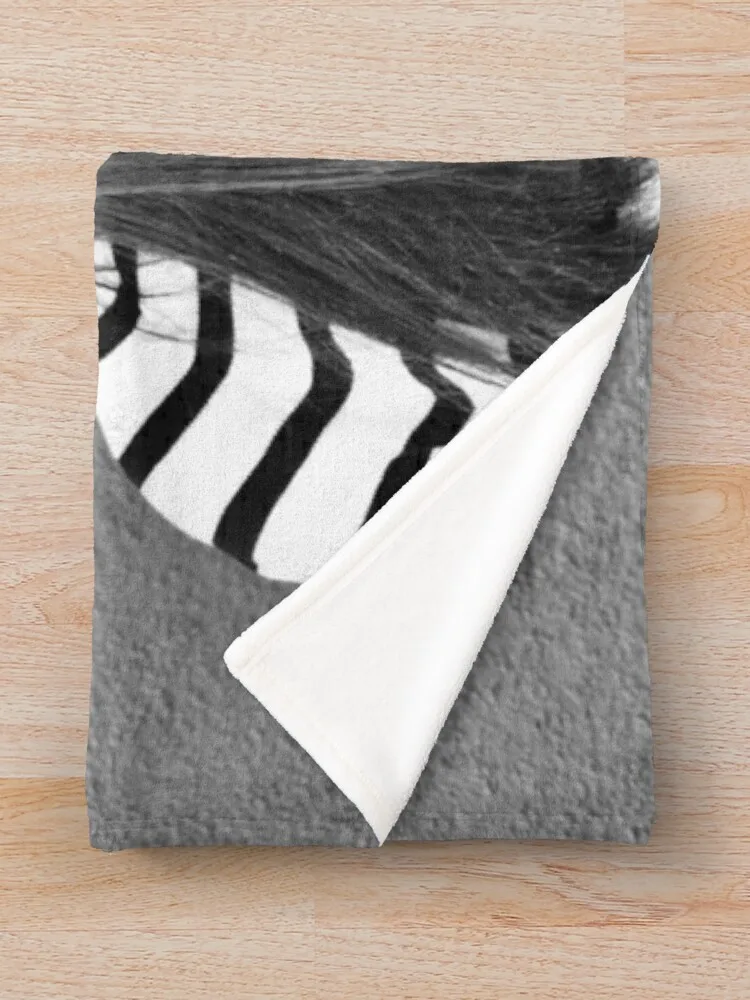 ���� ���ο� ���, ħ�� ���, �ڽ����� �ִϸ��̼� ���� ���