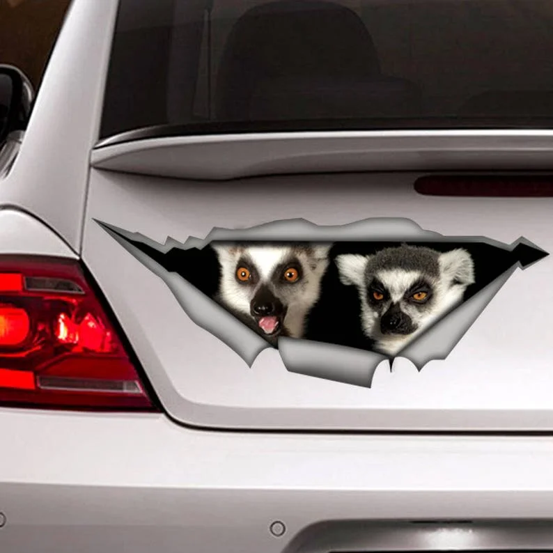 3DAnimalCarDecalsCarWindowDecorationsStickersCarAccessories